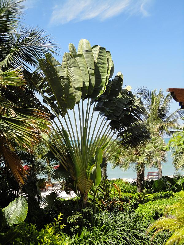 Sheraton Pattaya 0310 (12)